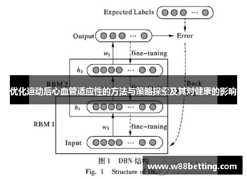 优化运动后心血管适应性的方法与策略探索及其对健康的影响